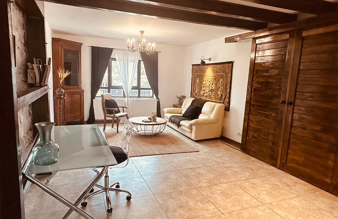 Casa Pisica Noastra-1